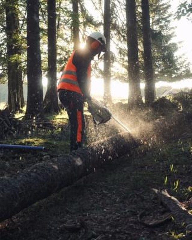 Instagram post from formatpaysagesarl. This post is in position 7.