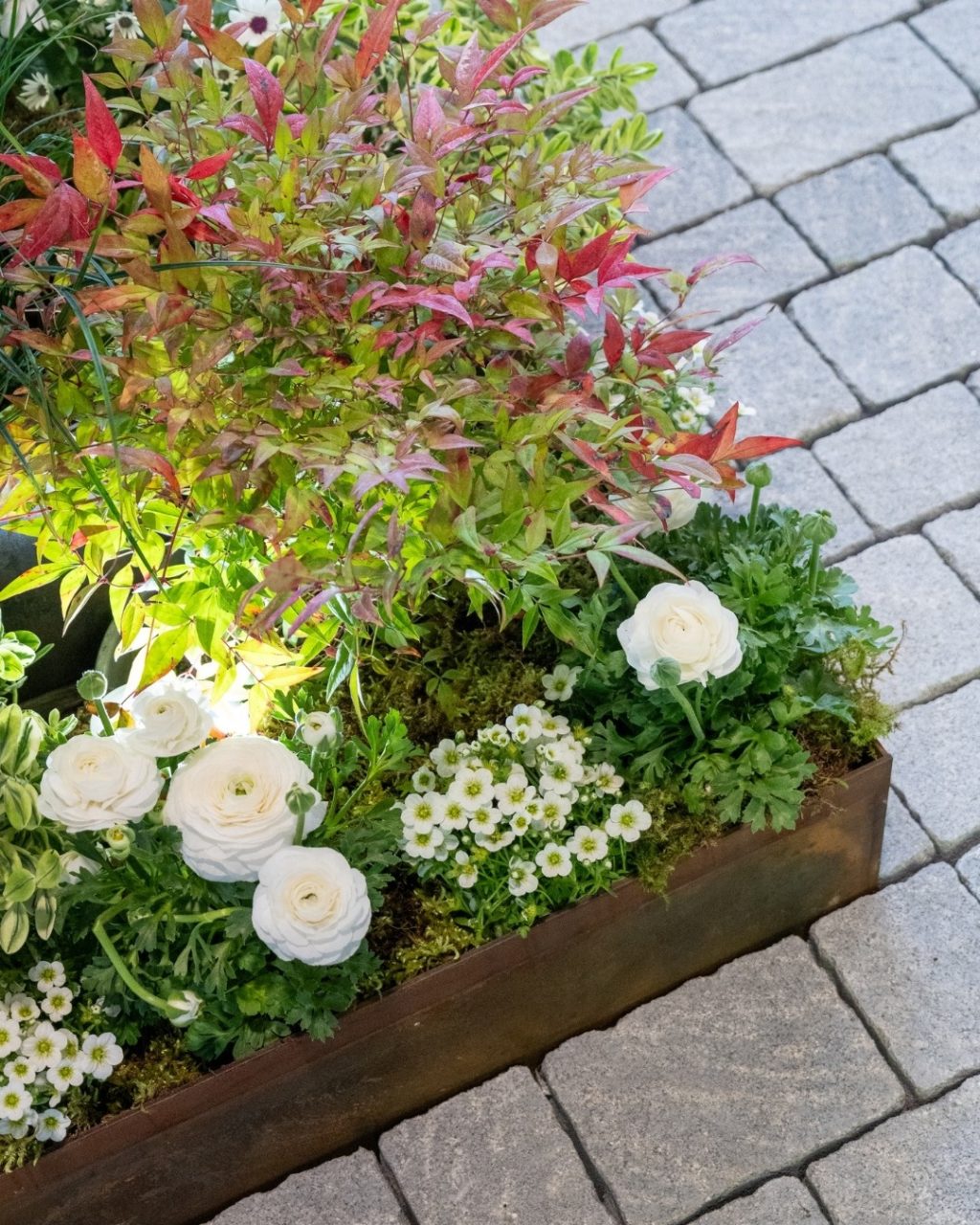 Instagram post from formatpaysagesarl. This post is in position 3.